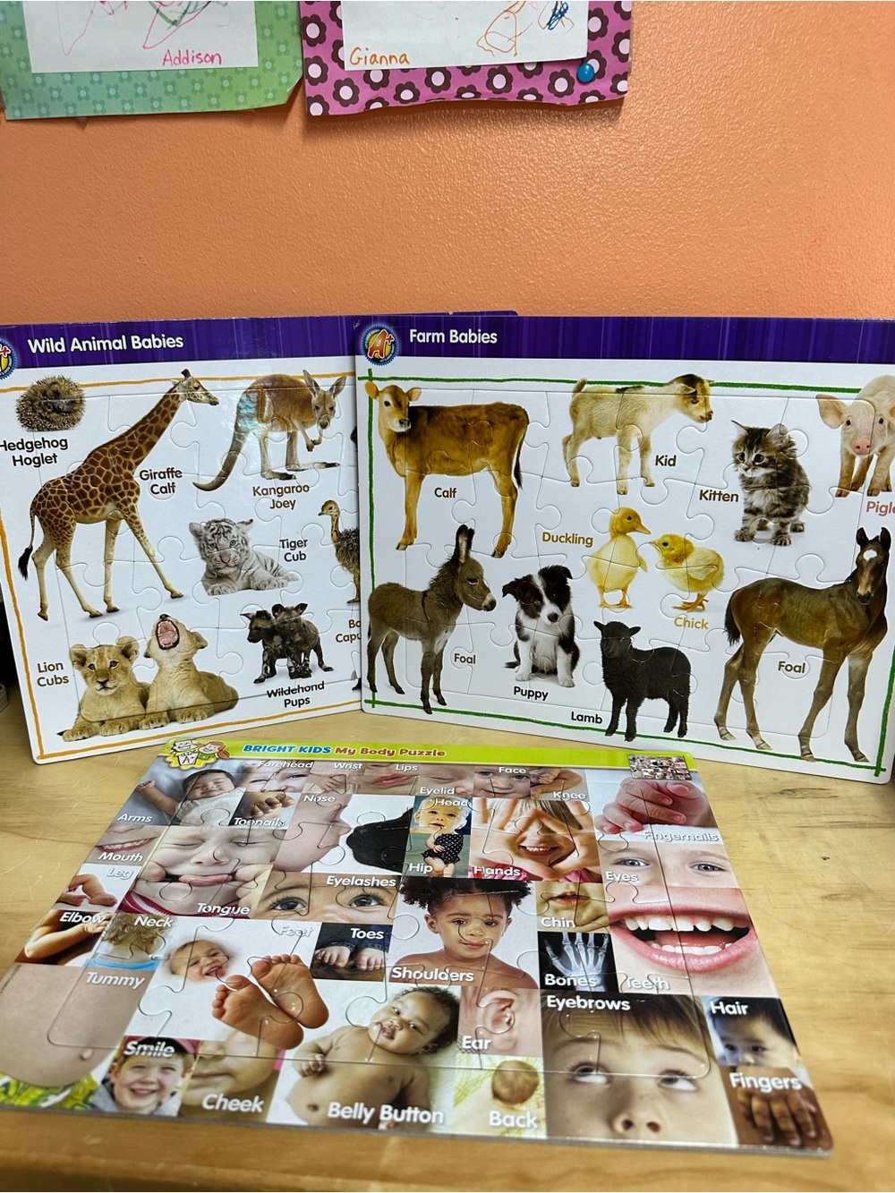 Lot of 3 Puzzle Patch 25 Piece Picture Tray Puzzles - Animals & Babies
